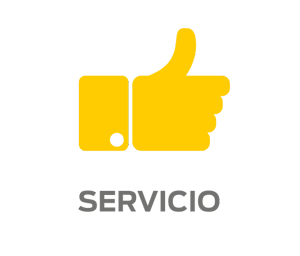 Servicio