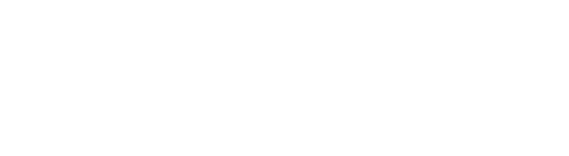 Vortal